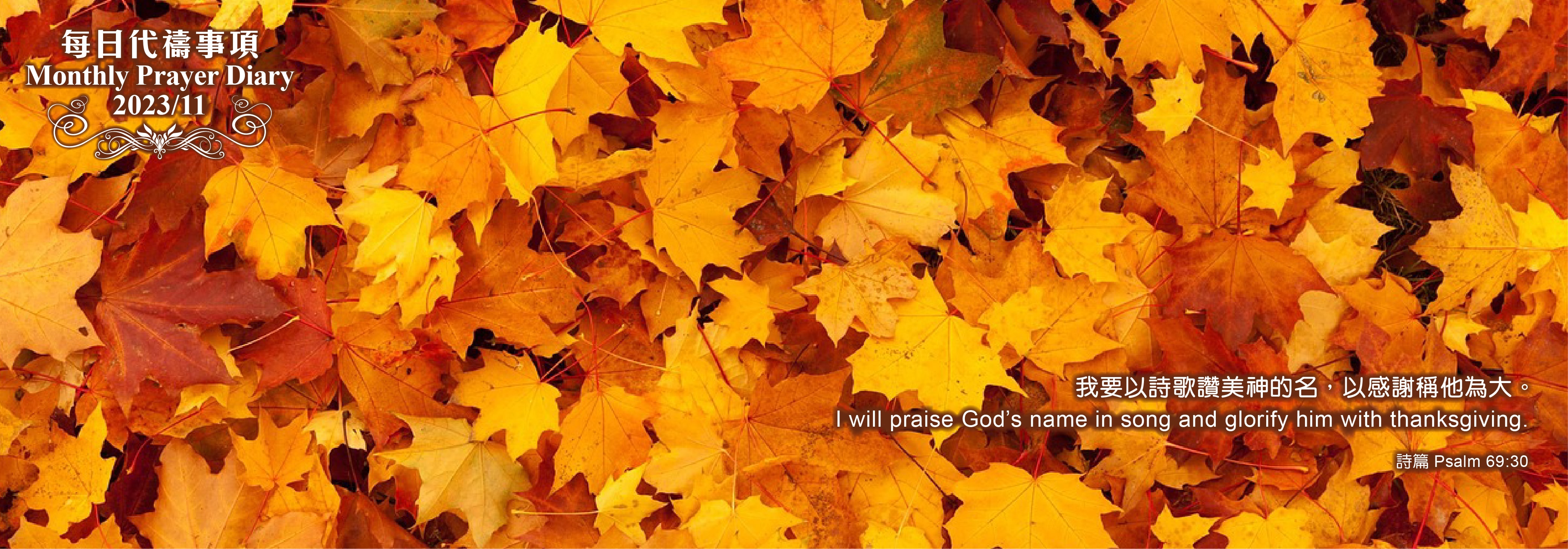 Pray_Diary_Banner-Nov_2023R.jpg