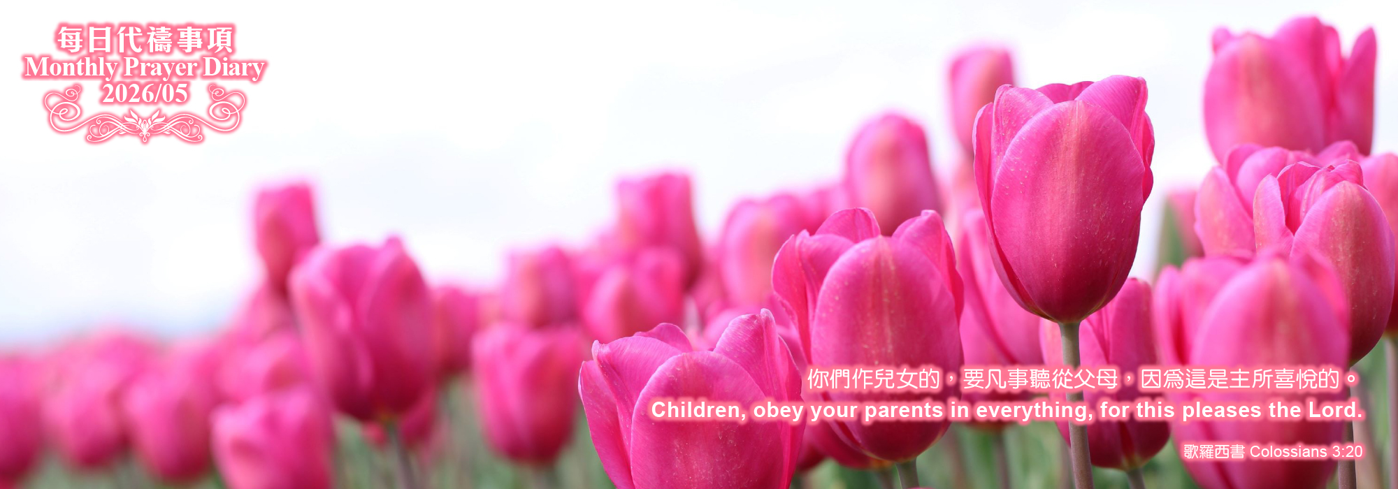 Pray_Diary_Banner-May2026_2000x700.jpg