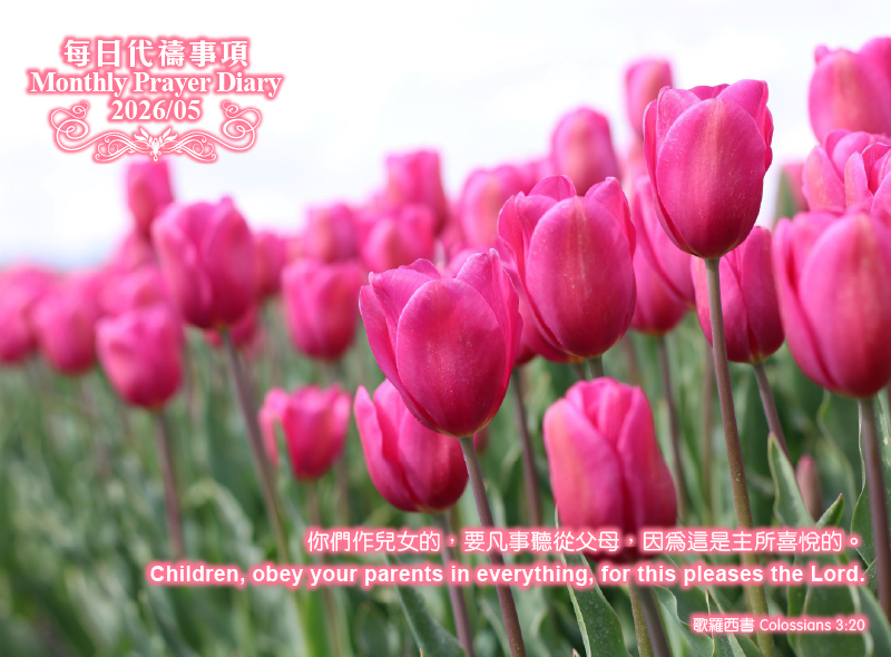 Pray_Diary_Banner-May2026_800x590.jpg